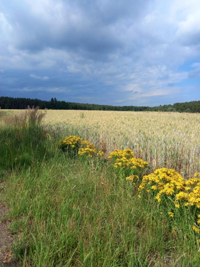 Pension Country Relax Roupov Eksteriør bilde